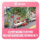 토마토스포츠 | 신선한 토마토가 한가득! 제24회 퇴촌토마토거리축제 후기