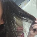 셀포션 뿌리는 헤어오일향수 헤어영양제 사용 후기