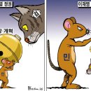 12 이미지