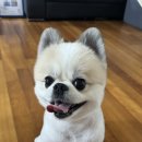 송아미용실 이미지