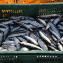 청어람로 이미지