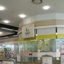 펫인샵