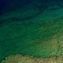 (주)휴런 이미지