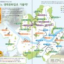 서울 걷기 좋은 길(생태탐방로/성곽길,숲길 등) 이미지