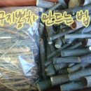 남경세차장 네이버블로그