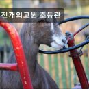 천개의고원초등관학원