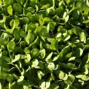 물골경로당 이미지