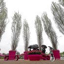 뚝섬한강공원-15 이미지