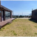 슬기로운 우도생활 이미지