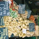 작은농원 이미지