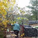 도천농산