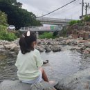 1001숲 이미지