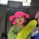 송제농원 이미지