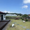 하예연가 이미지