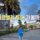 애플25시 티스토리