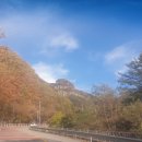개별화물 이미지