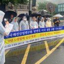 연패션 이미지