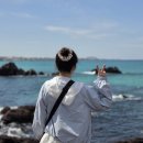 우진여행사 | 제주도 미니버스 대여 기사포함 제주숨비투어로 가족 자유 여행