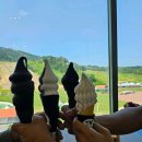 웰리힐리파크 오토캠핑장 이미지