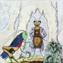 여우와 포도 이미지