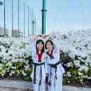 월정체육관 이미지