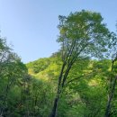 59. 춘천 용화산자연휴양림 야영장 캠핑후기 데크정보