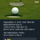 골프리더 이미지