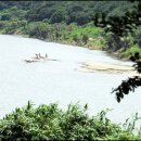 두꺼비섬 이미지