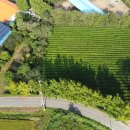 갈멜사슴농원 이미지