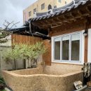 짱구애견 | 전주 애견동반 독채 한옥 아리랑 자쿠지 숙소 추천 후기