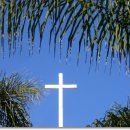 중앙기독초등학교 이미지