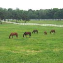 정은목장 이미지