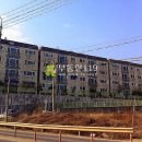 금포로 Daum카페