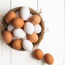 시티짐 군자 이미지