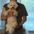 젤리뽀개린이집 | -21.05.12 🔖