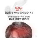 연산메디컬센터 앞 | 부산 탈모약 탈모 초기 신호 놓치지 마세요