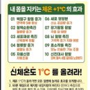 비고르바른건강 이미지