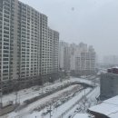 리찌