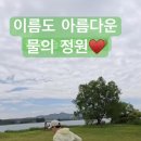 정원순두부 | 🐾 [남양주 당일치기] 애견동반 물의정원 산책 + 기왓집순두부 맛집 후기