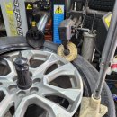 고양화전20 이미지