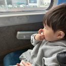 로니의 기차 이미지