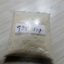 수백농장 이미지