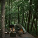 서해 태안 우니메이카 5번 사이트 캠핑 후기!(백컨트리 제너두 2.5P)