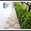 두서초등학교 이미지