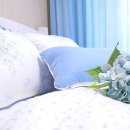 스카이블루마운틴 이미지