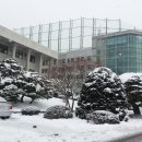 용인대학교 이미지