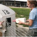 그린낙농 이미지