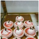 포항부추빵 | 오딘 포항 대형 베이커리 카페, 화진해수욕장 전망 오션뷰 75가지 빵