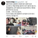 삼일절 전장연 근황 이미지