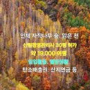 사동 이미지